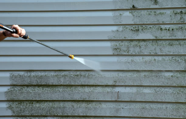 Best Roof Power Washing Services  in Winlock, WA