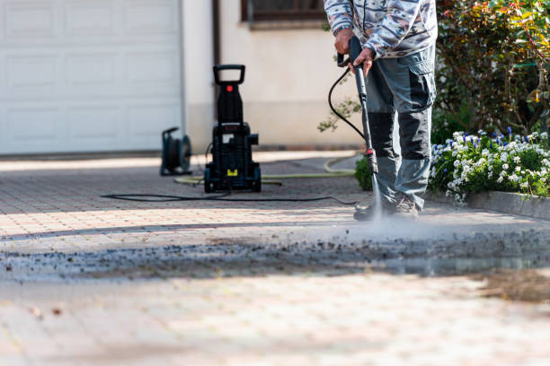 Best Power Washing Near Me  in Winlock, WA