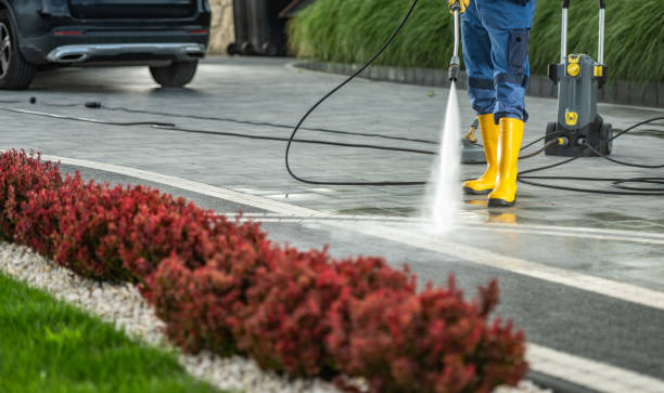 Best Fence Pressure Washing  in Winlock, WA