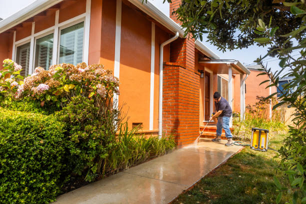 Best Deck Cleaning Services  in Winlock, WA
