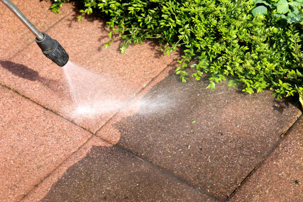 Best Affordable Power Washing  in Winlock, WA